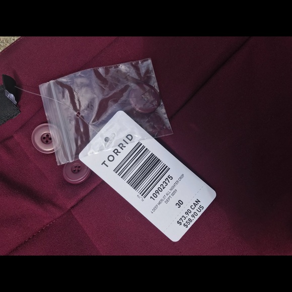 Torrid pants! - Picture 2 of 4